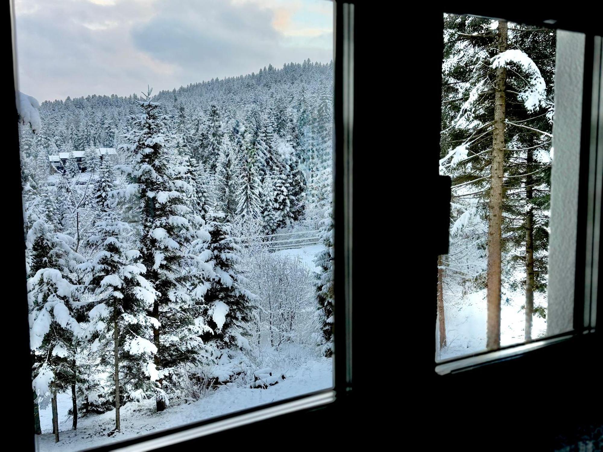 Апарт- Готель Sunray Skhidnytsya Skhidnytsia Exterior foto
